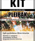 'Pleibak'. MIREN AMURIZA